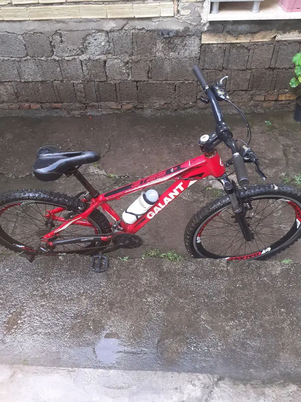 دوچرخه|دوچرخه، اسکیت، اسکوتر|لاهیجان, حاجی آباد|دیوار