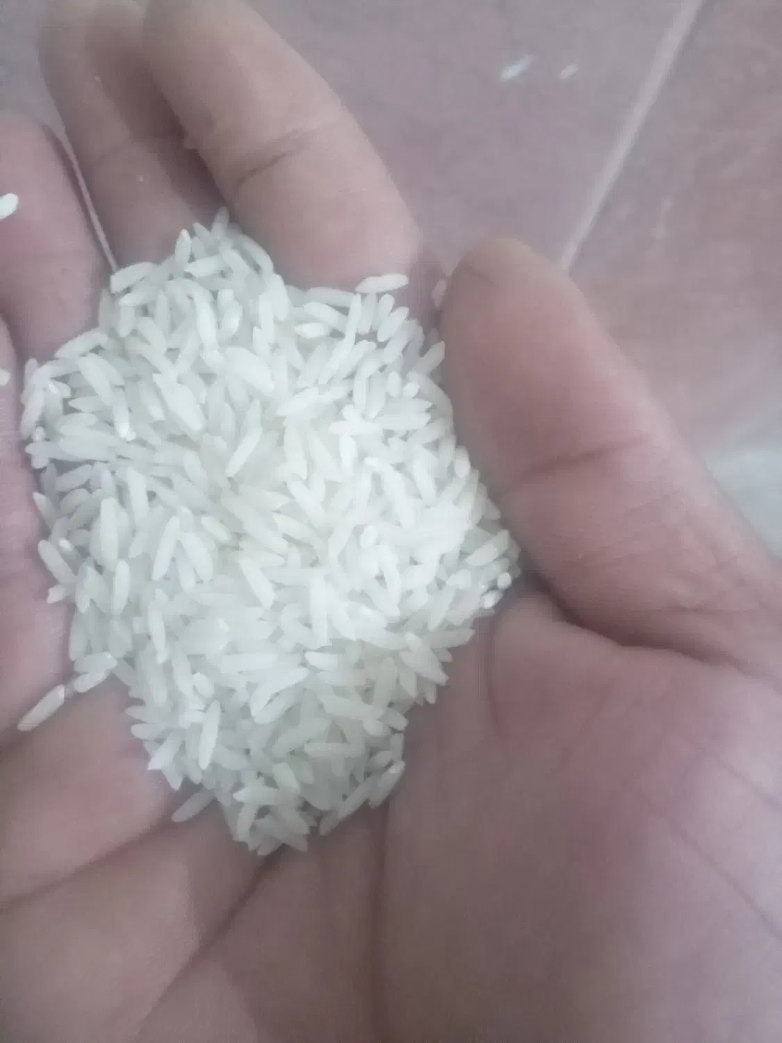 برنج درگز وکلات|خوردنی و آشامیدنی|شیروان (خراسان), |دیوار