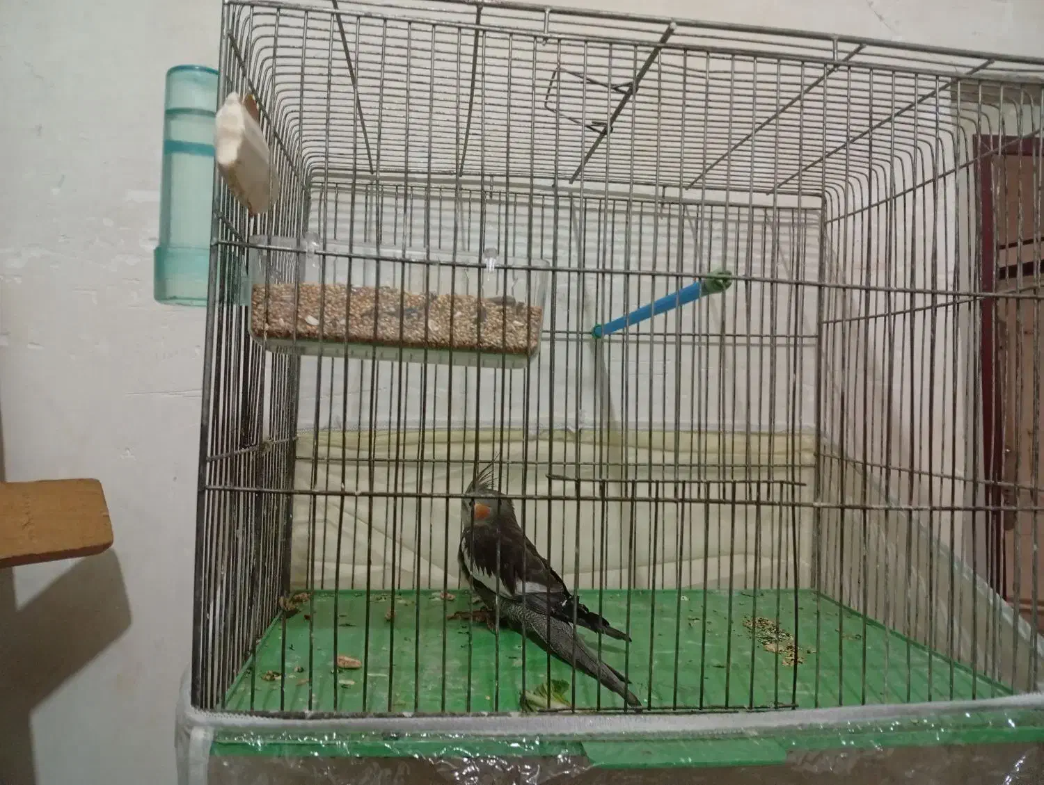 قفس بزرگ|لوازم جانبی حیوانات|مراغه, |دیوار