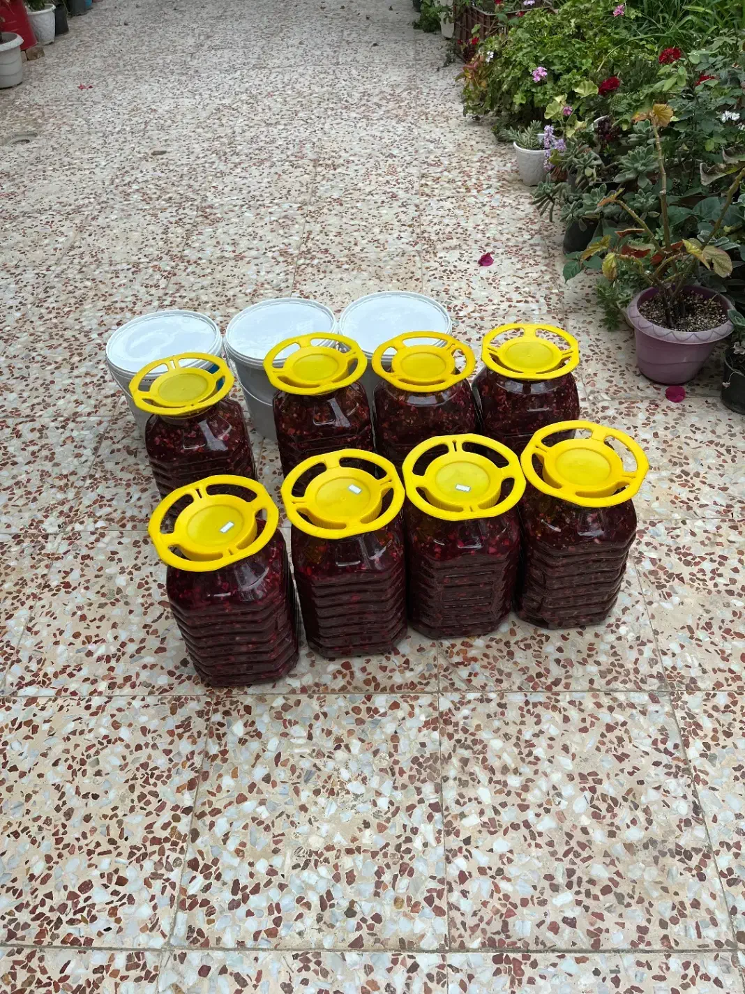 ترشی مخلوط خانگی|خوردنی و آشامیدنی|ساری, |دیوار