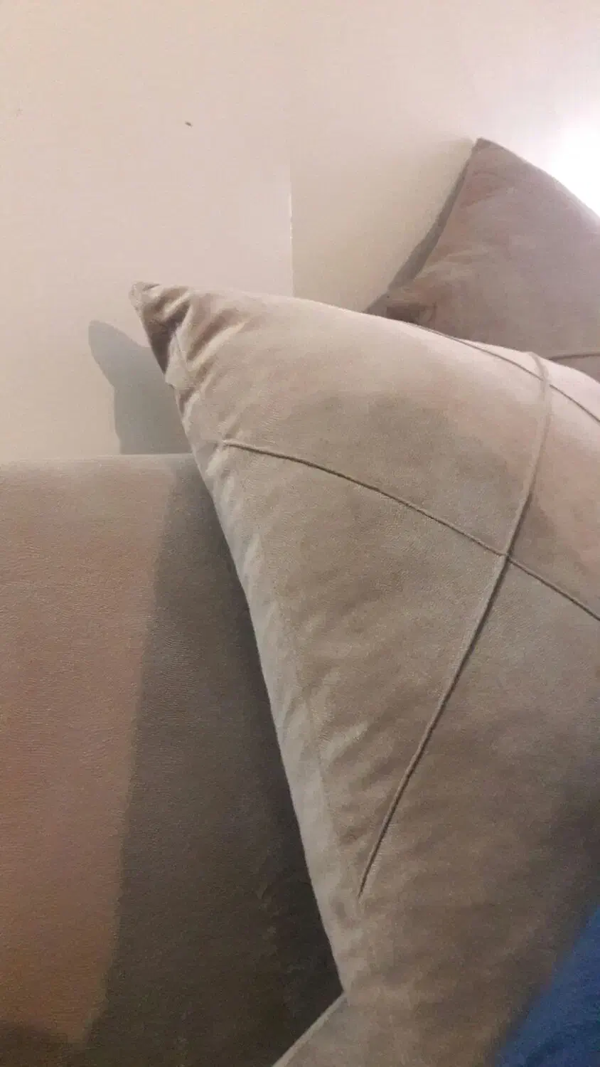 تمیزکاری منزل|خدمات نظافت|بندرعباس, |دیوار