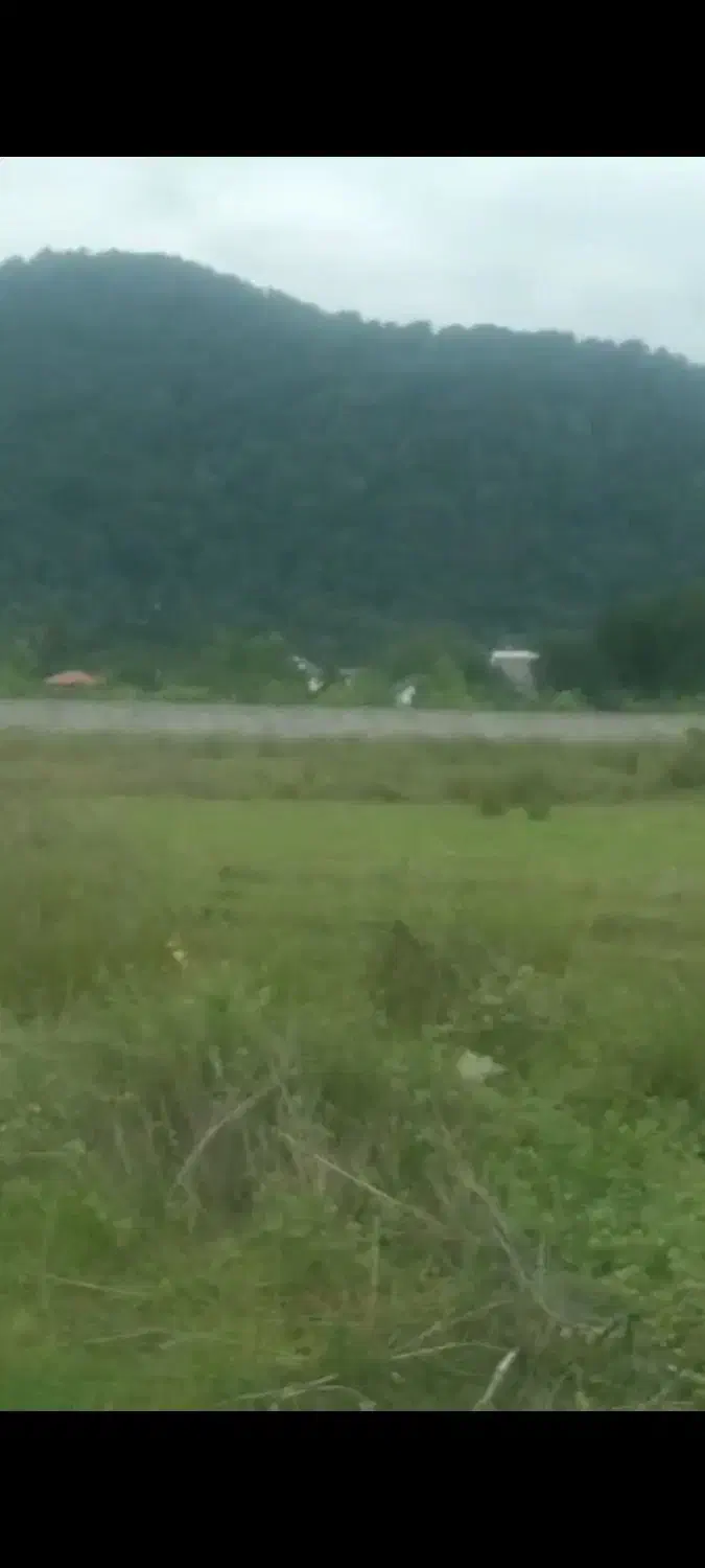 ۲۴۰۰ متر زمین در بام وارتفاع مازو پشته|مشارکت در ساخت املاک|چالوس, |دیوار