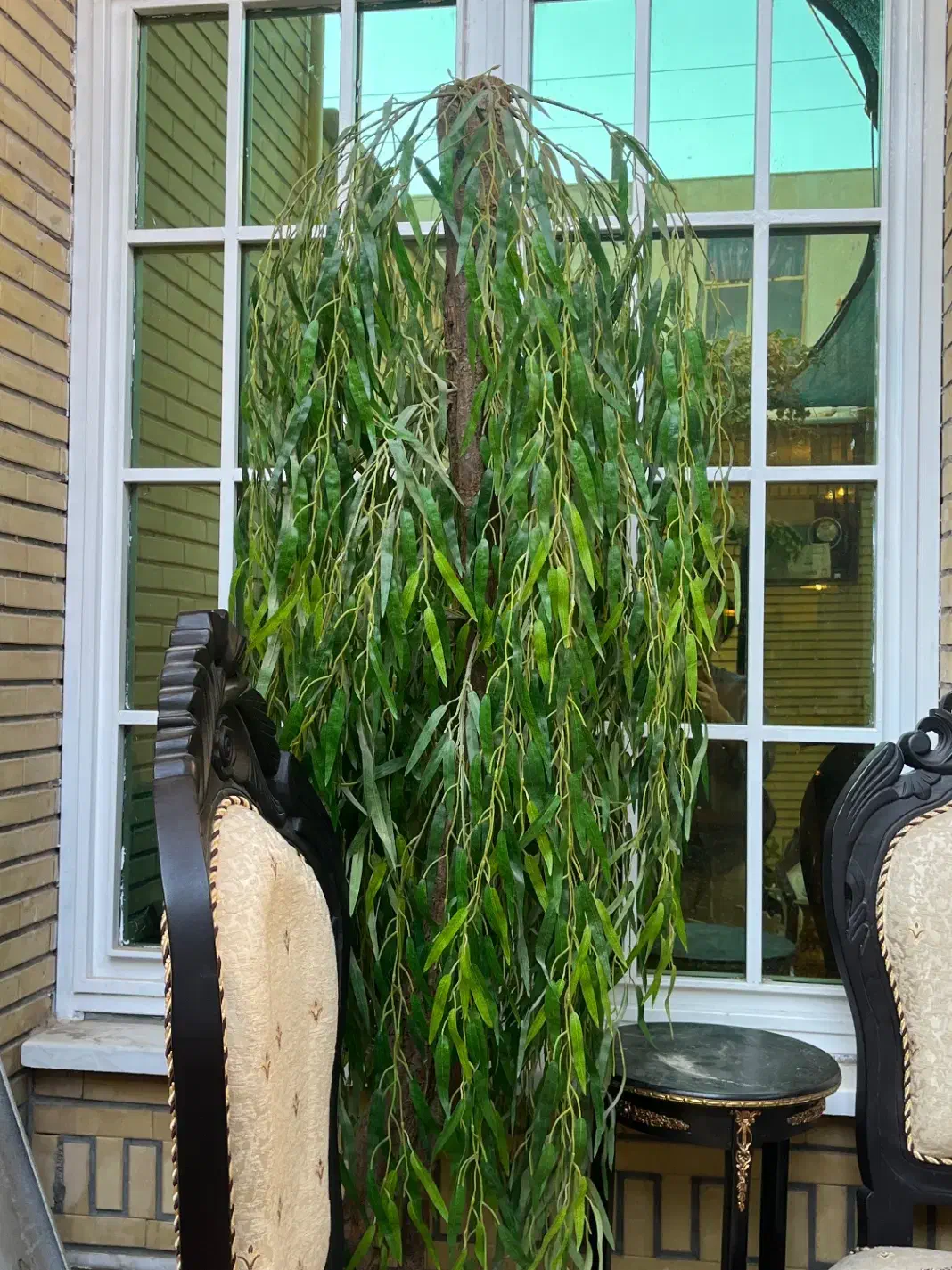 درخت بید مجنون مصنوعی|گل مصنوعی|قم, حنیف نژاد|دیوار