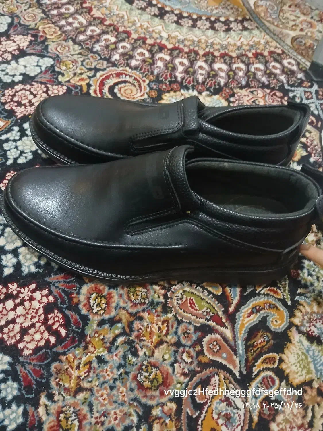 کفش|کیف، کفش، کمربند|قم, محمد آباد|دیوار