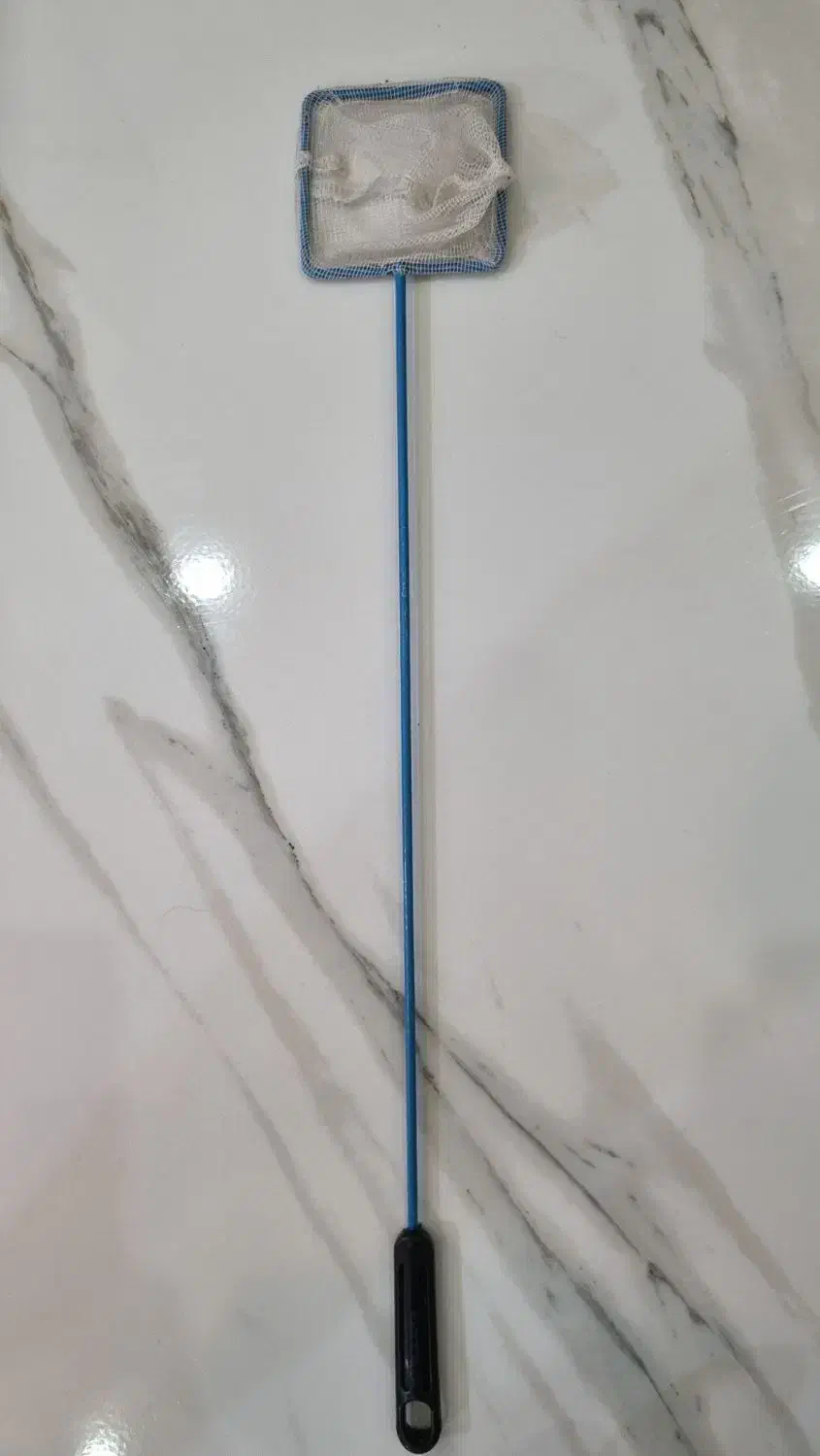 اکواریوم پلنت|ماهی|تهران, مقدم|دیوار