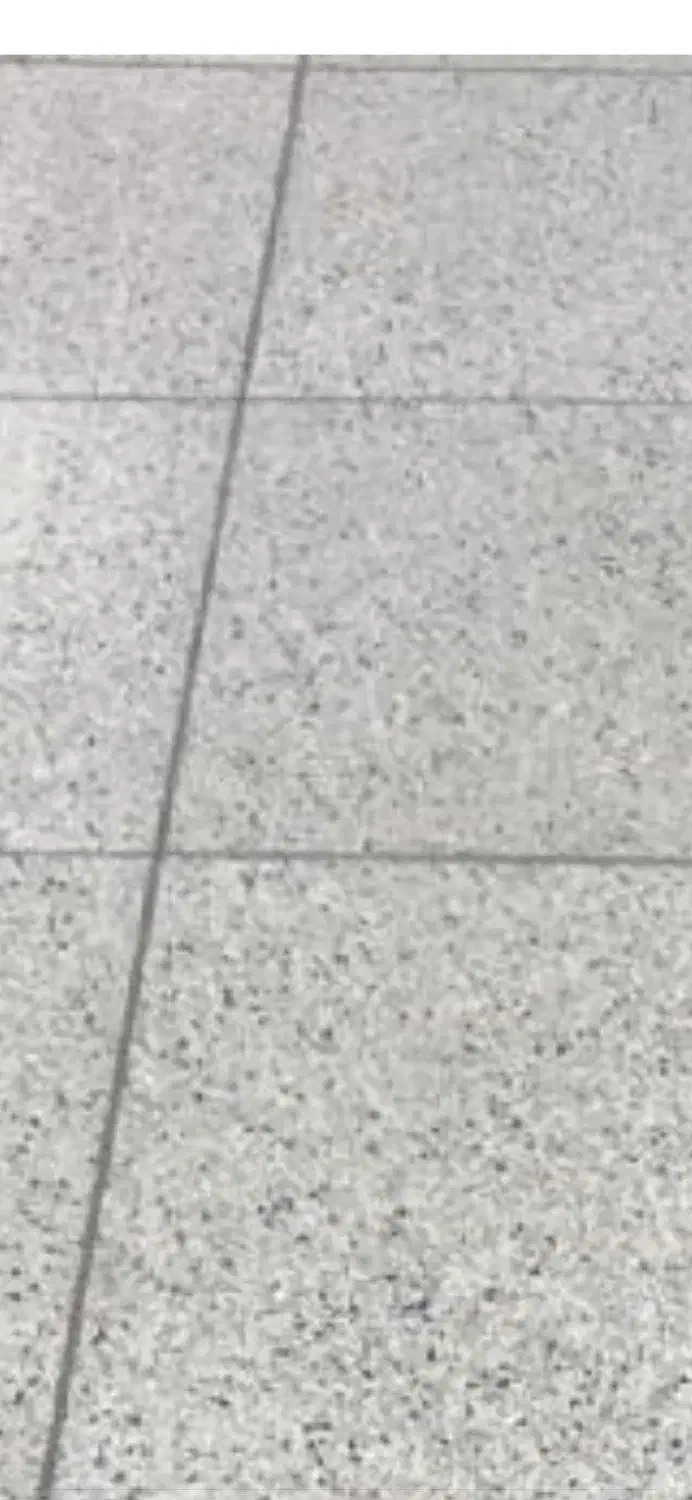 سیمانکاری - بتون ریزی -کف سازی - شسته کاری وغیره|خدمات پیشه و مهارت|لاهیجان, آهندان|دیوار