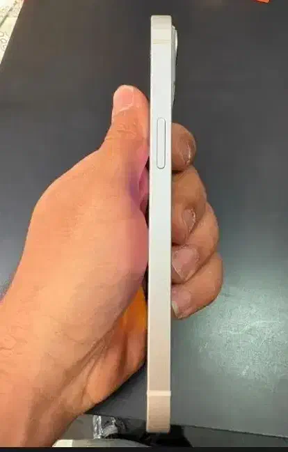 ایفون 13 نرمال|موبایل|کرج, برغان|دیوار