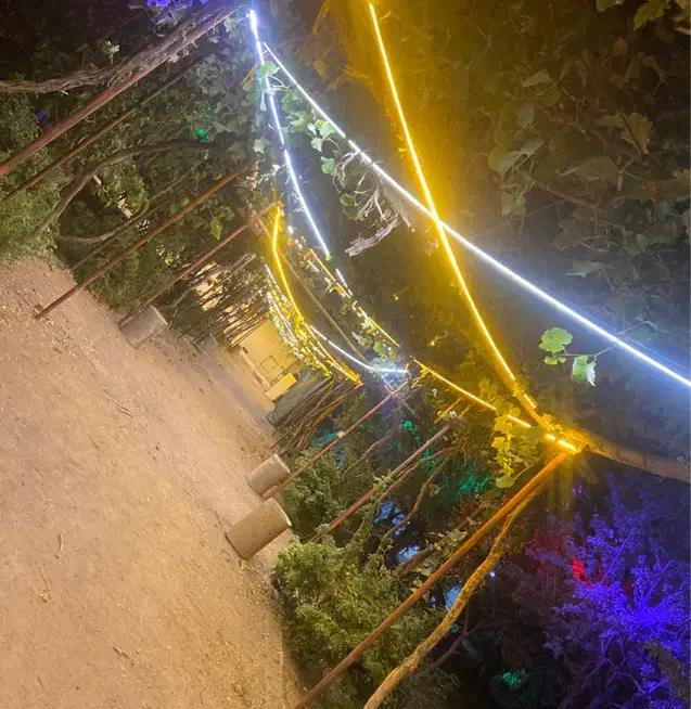 اجاره باغ|خدمات پذیرایی، مراسم|بردسیر, |دیوار