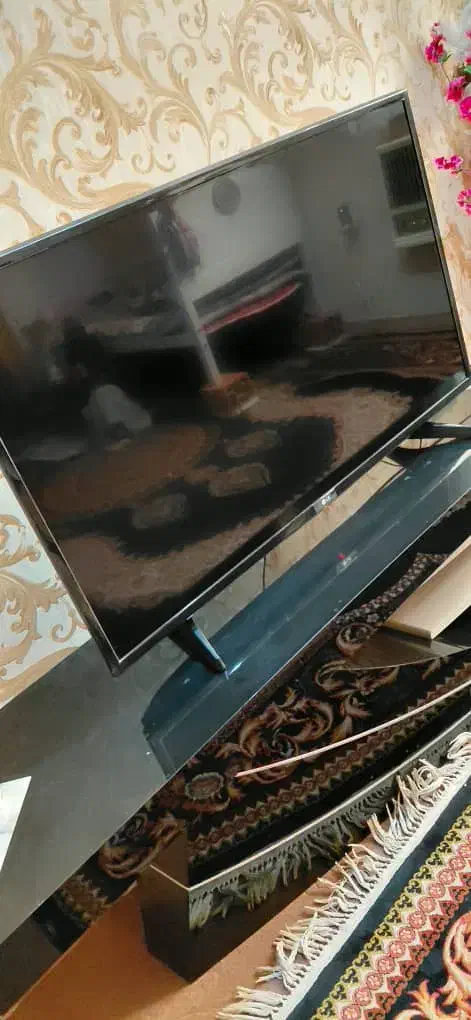 تلوزیون ال جی|تلویزیون و پروژکتور|رودان, |دیوار