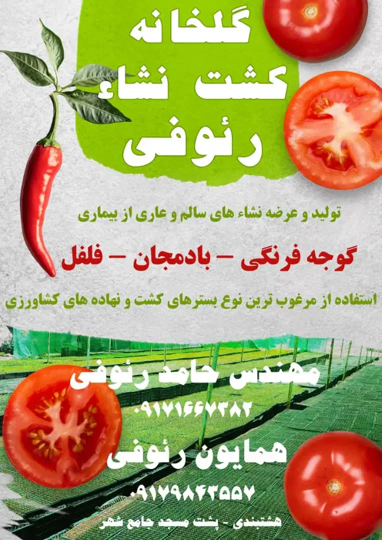 تنبک درجه یک موجوده|سازهای سنتی|میناب, |دیوار