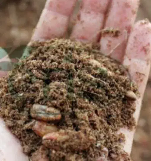 تفاله خرما تناژ|عمده‌فروشی|نیشابور, هفده شهریور|دیوار