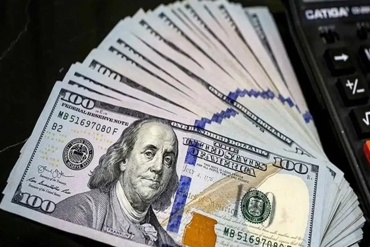 آموزش و سرمایه گذار آقا یا خانوم|خدمات آموزشی|مریوان, |دیوار