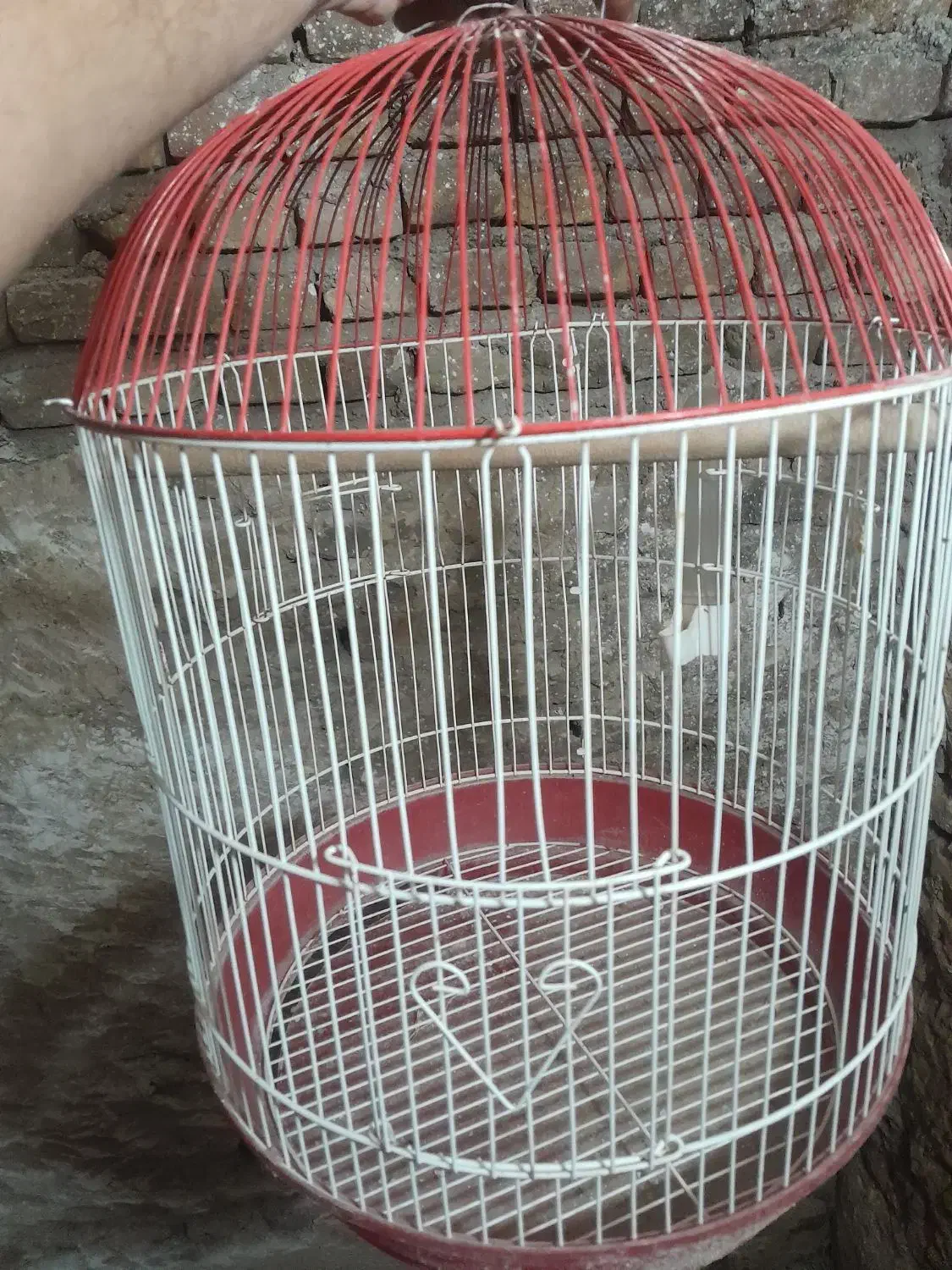 قفس آویز عروس هلندی|لوازم جانبی حیوانات|گالیکش, |دیوار