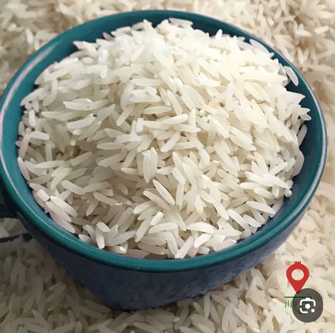 برنج فجر سوزنی فروش فوری|عمده‌فروشی|مزرعه کتول, |دیوار