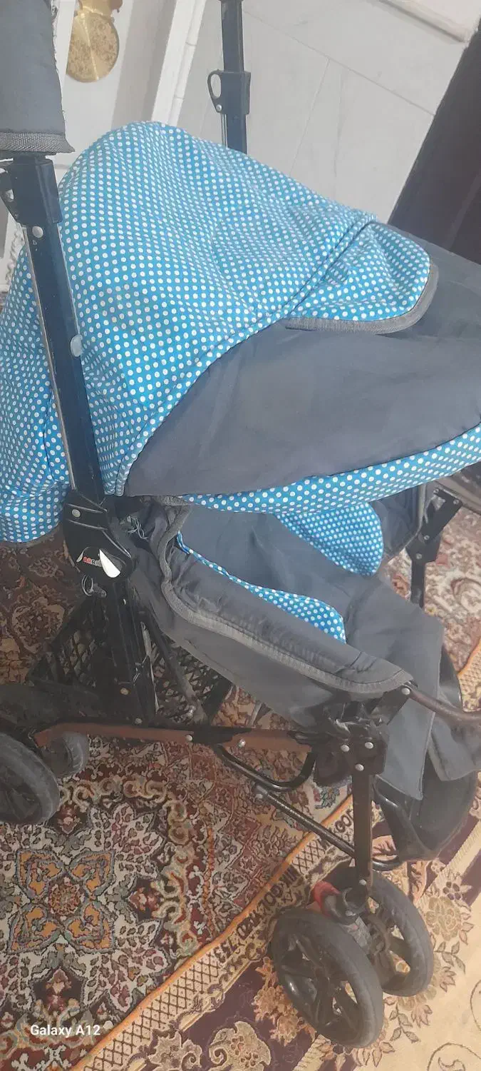 کالسکه|کالسکه و لوازم جانبی|نیشابور, گنبد سبز|دیوار