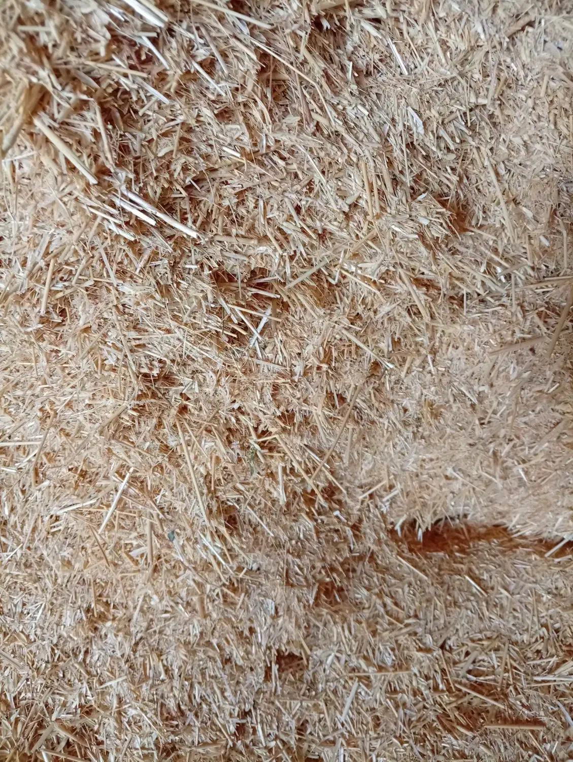 کاه گندم|لوازم جانبی حیوانات|خاوه, |دیوار