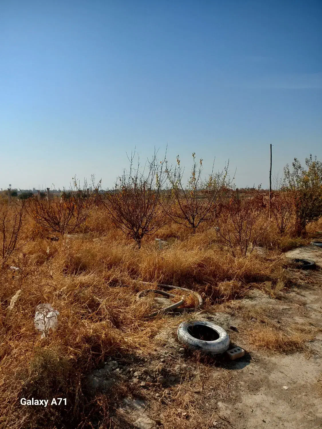 ویلا باغ تفریحی|فروش خانه و ویلا|نوشین شهر, |دیوار