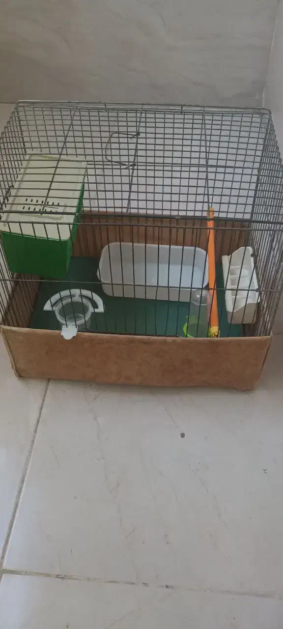 قفس ولوازم پرنده|لوازم جانبی حیوانات|بهارستان, |دیوار