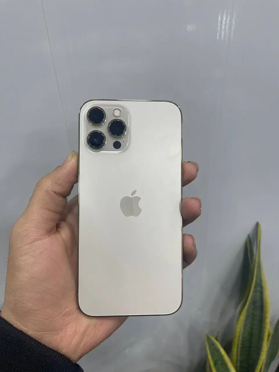 iphone 12 pro max gold|موبایل|کوهسار (البرز), |دیوار