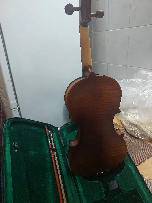 ویالون طبق عکس|ویولن|تهران, جمهوری|دیوار