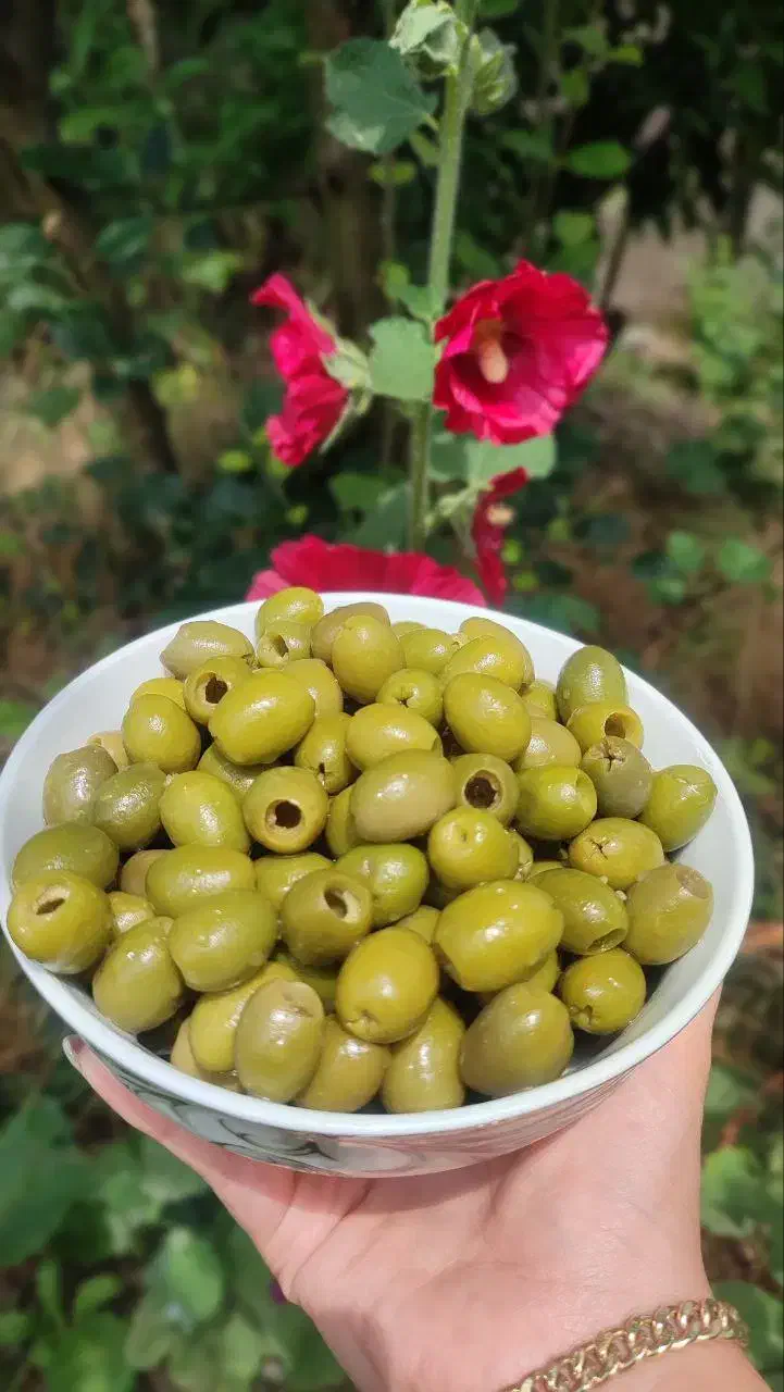 زیتون بدون هسته با کیفیت بینطیر|خوردنی و آشامیدنی|رودبار, |دیوار