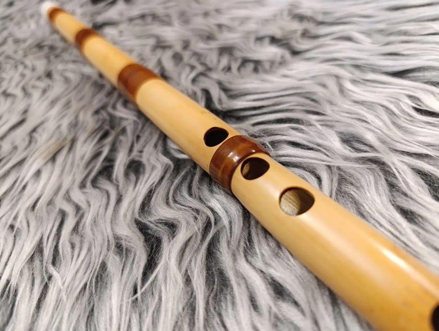 ساز نی|سازهای بادی|تهران, زهتابی|دیوار