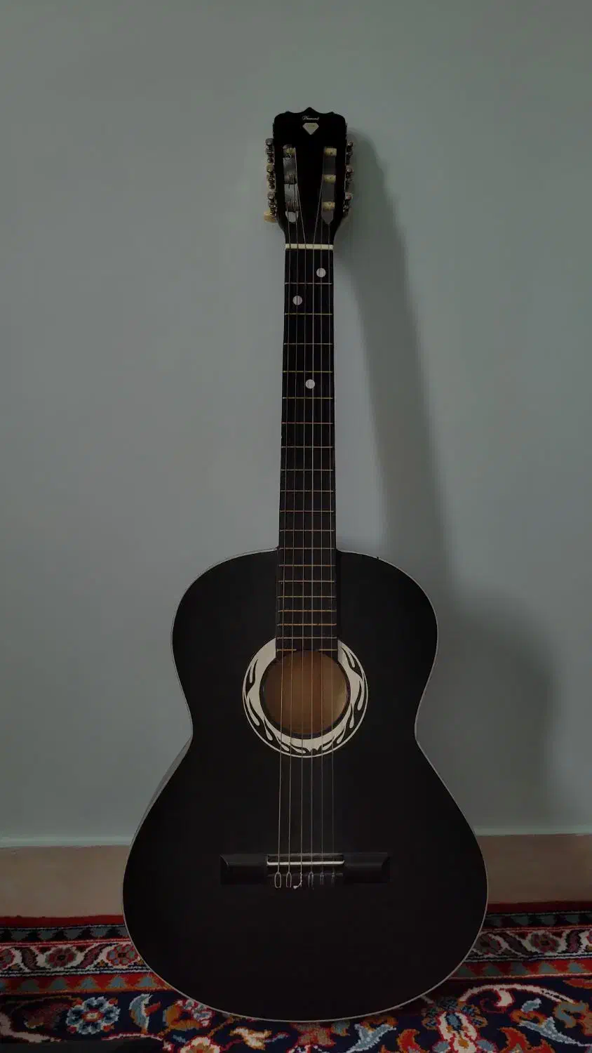 گیتار|گیتار، بیس، امپلیفایر|نهاوند, |دیوار