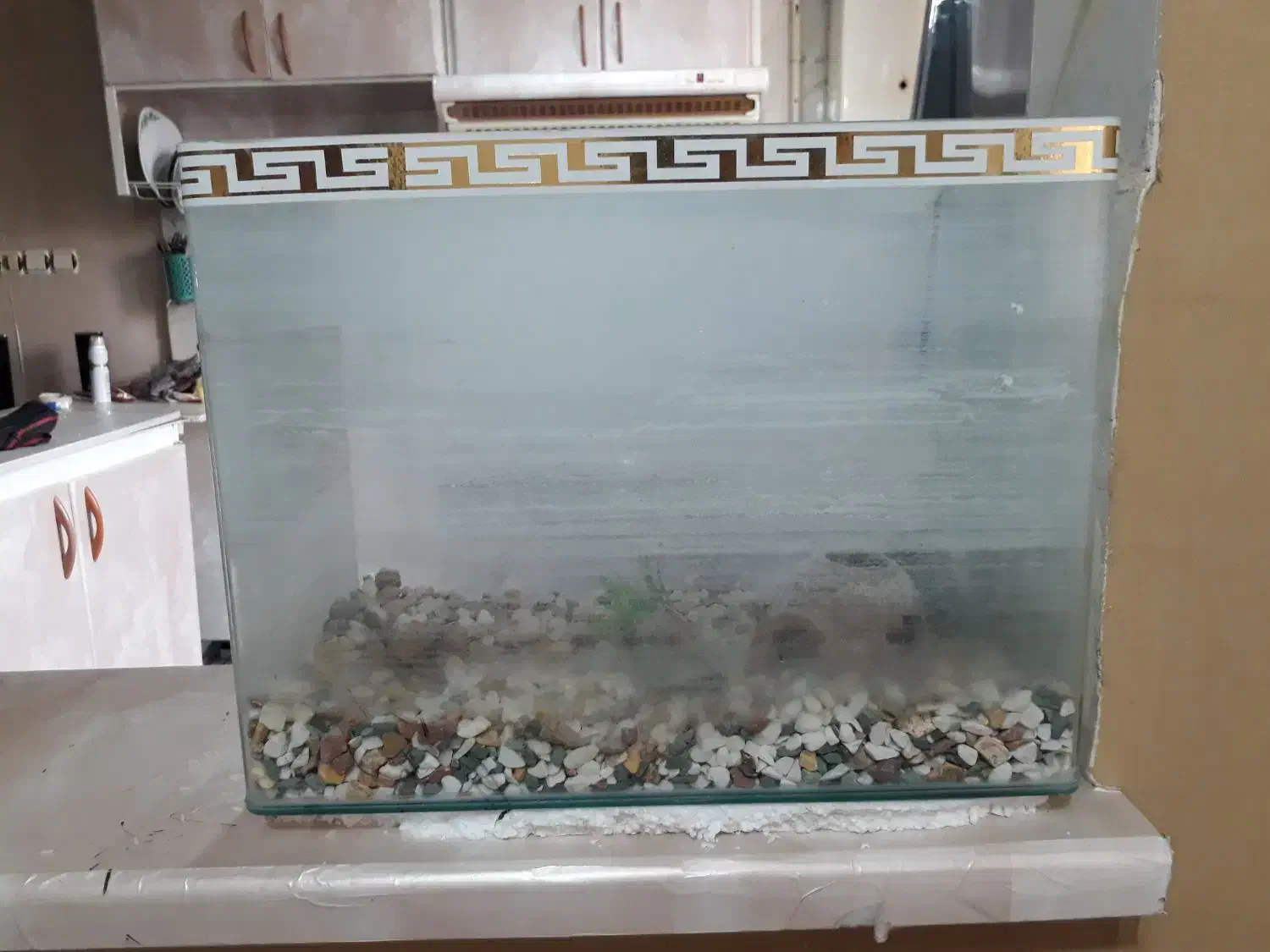 آکواریوم|ماهی|ورامین, ورامین|دیوار