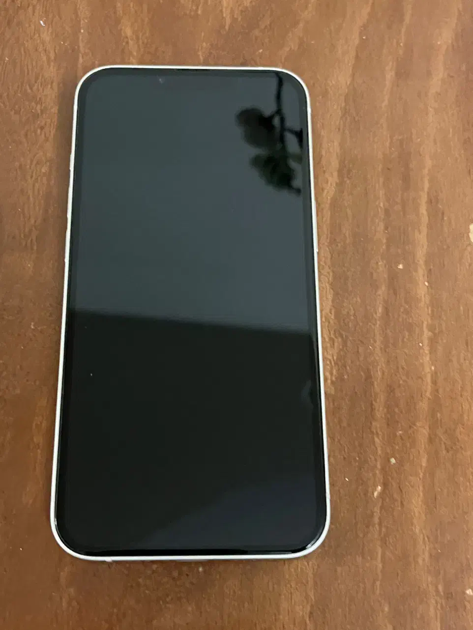 آیفون 13 لاکاغذی|موبایل|اصفهان, خواجو|دیوار