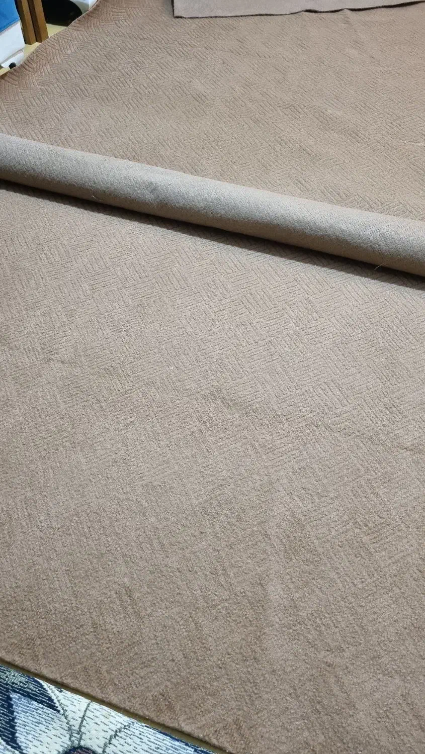 موکت ۱۲متری نو|موکت|آمل, |دیوار