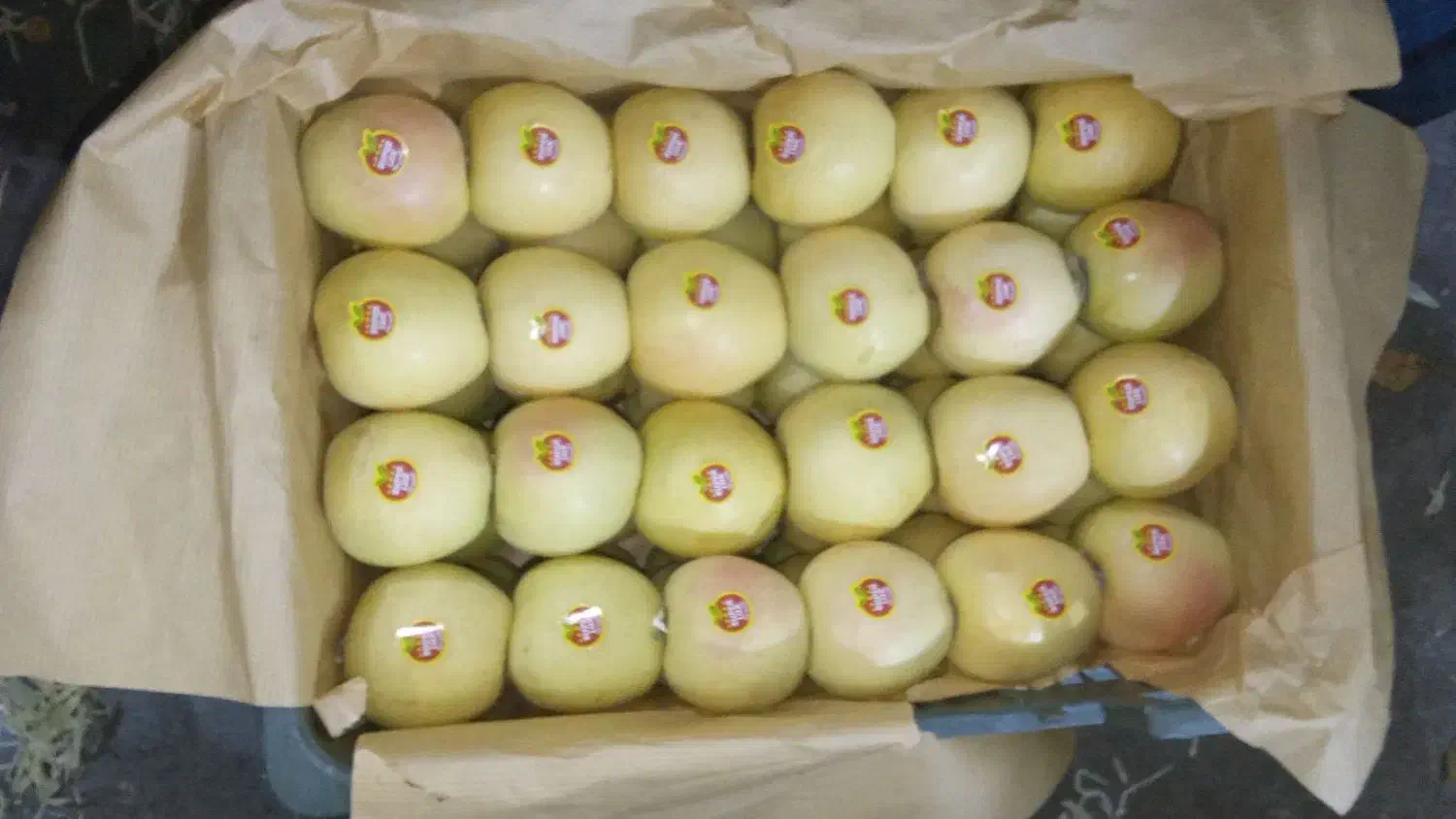 سیب دو ردیف|خوردنی و آشامیدنی|سیلوانه, |دیوار