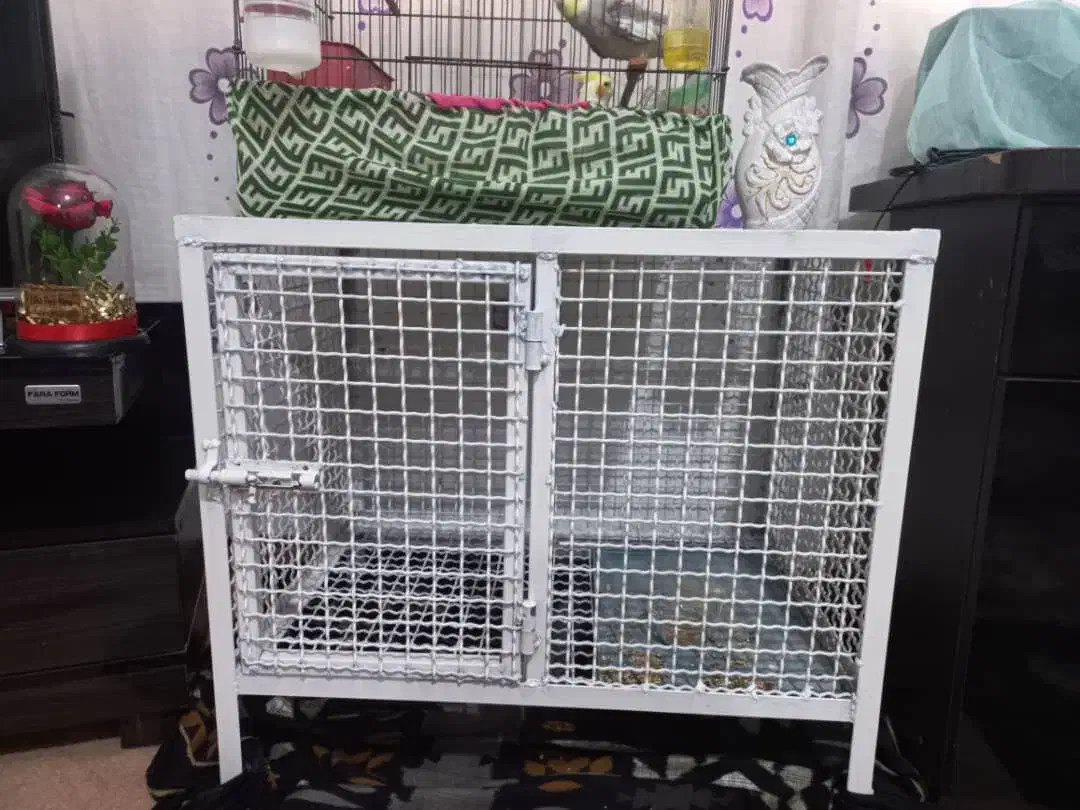 قفس|لوازم جانبی حیوانات|هشتگرد, تهران دشت|دیوار