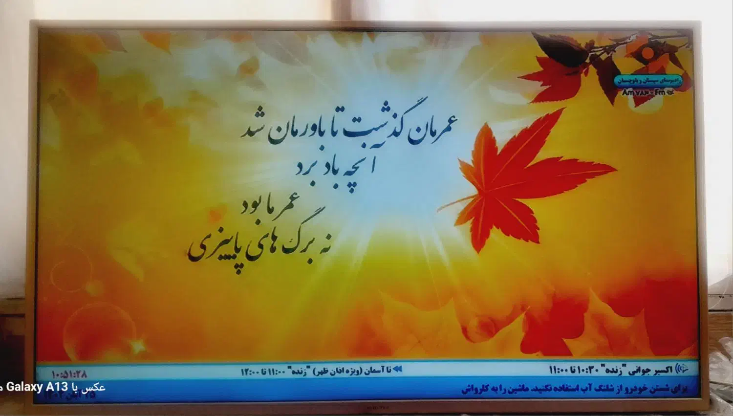 تلویزیون|تلویزیون و پروژکتور|زابل, |دیوار