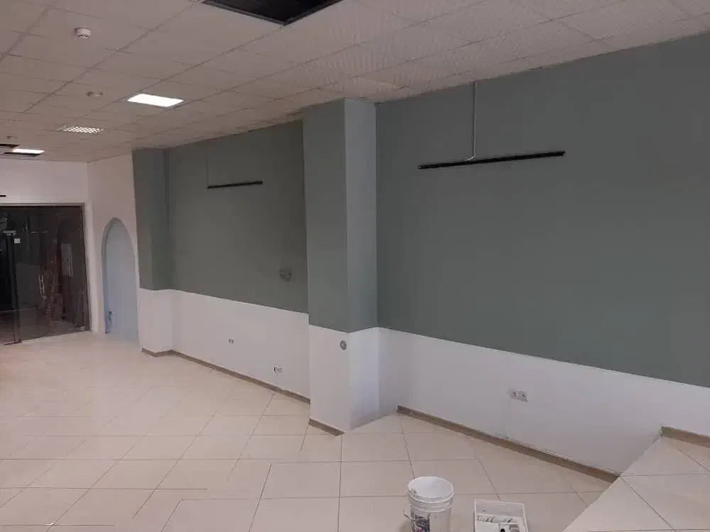 نقاشی ساختمان|خدمات پیشه و مهارت|محمدشهر, هزار واحدی|دیوار