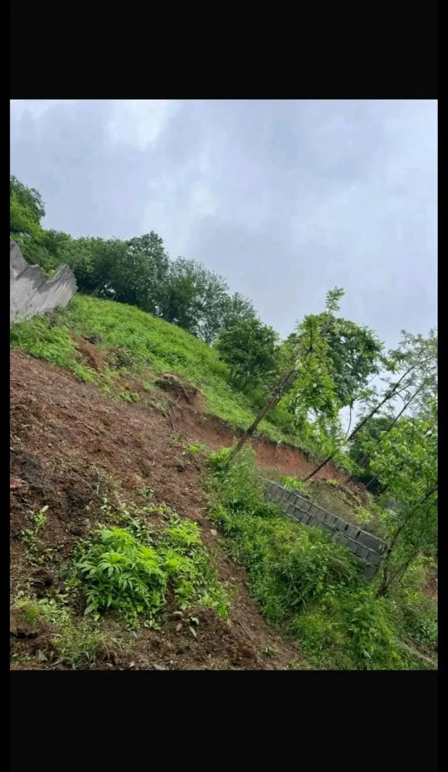 زمین مسکونی/با پروانه ساخت/ویو ابدی|فروش زمین و ملک کلنگی|لاهیجان, آهندان|دیوار