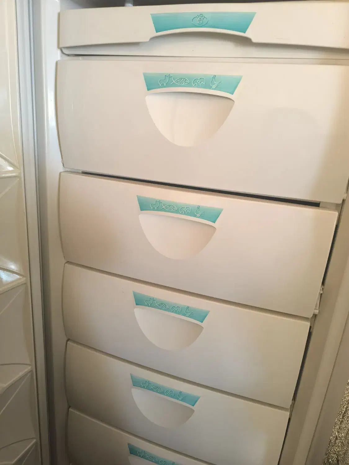 فریزر|یخچال و فریزر|فولادشهر, B4|دیوار