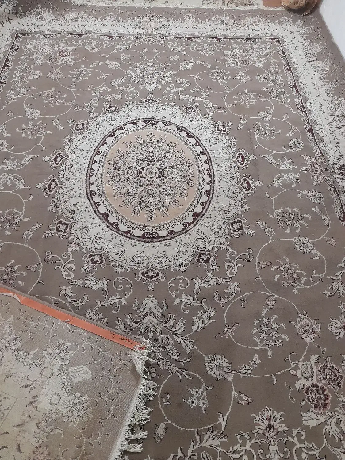 جفت فرش ۱۲ متری گردویی|فرش|تربت جام, جامی|دیوار