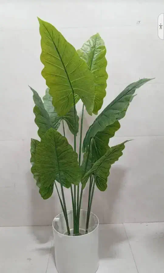 درختچه مصنوعی|گل مصنوعی|بندر کنگان, |دیوار