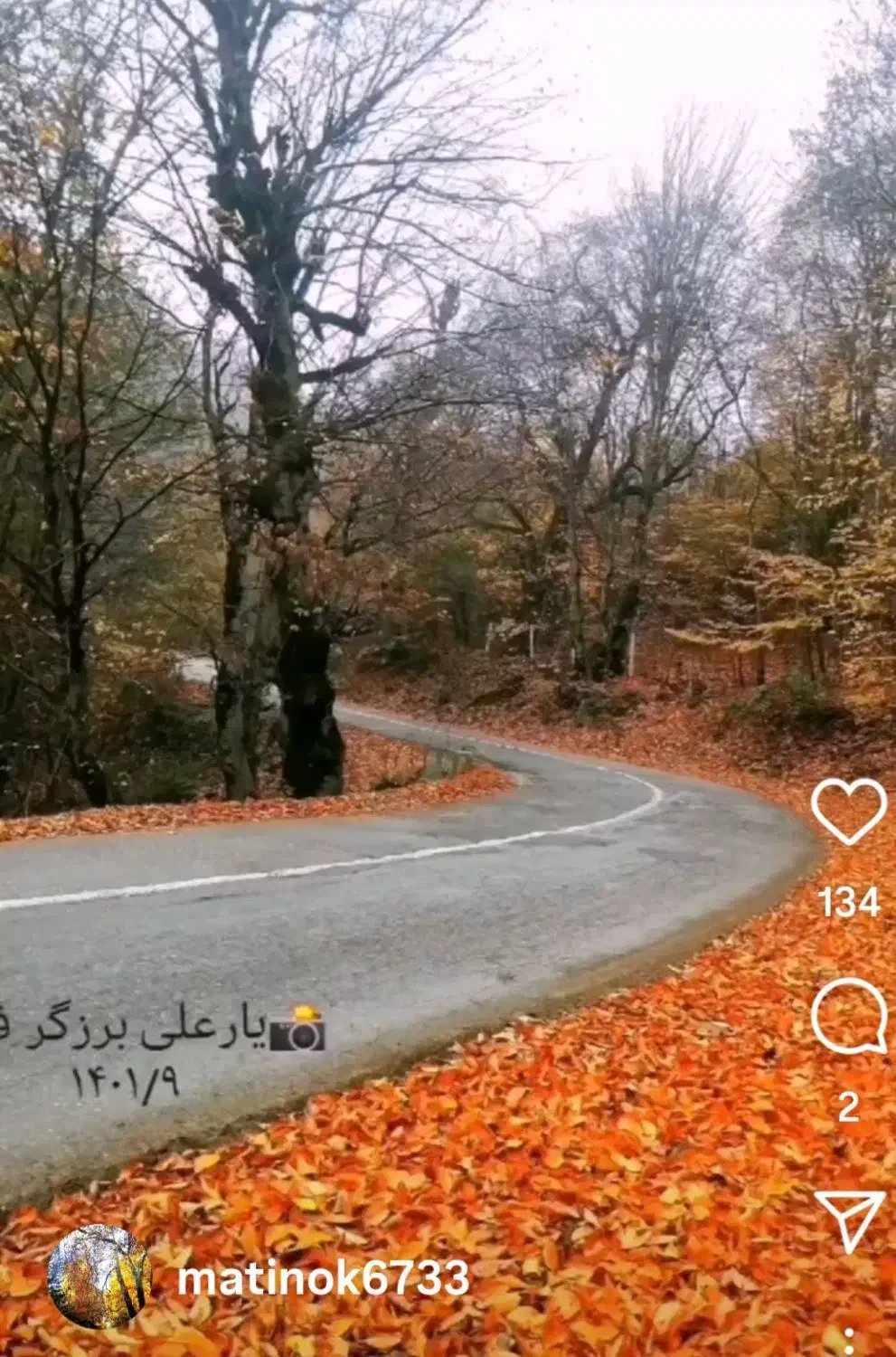 ویلای جنگلی ییلاقی کنار رودخانه|اجارهٔ کوتاهمدت ویلا و باغ|پل سفید, |دیوار