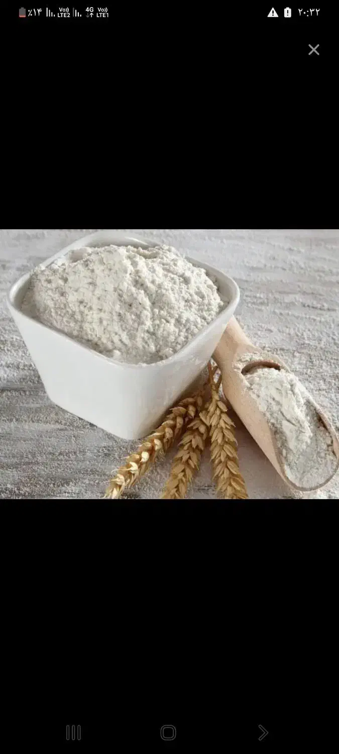 ارد|فعالیت داوطلبانه تحقیقاتی|سامان, |دیوار