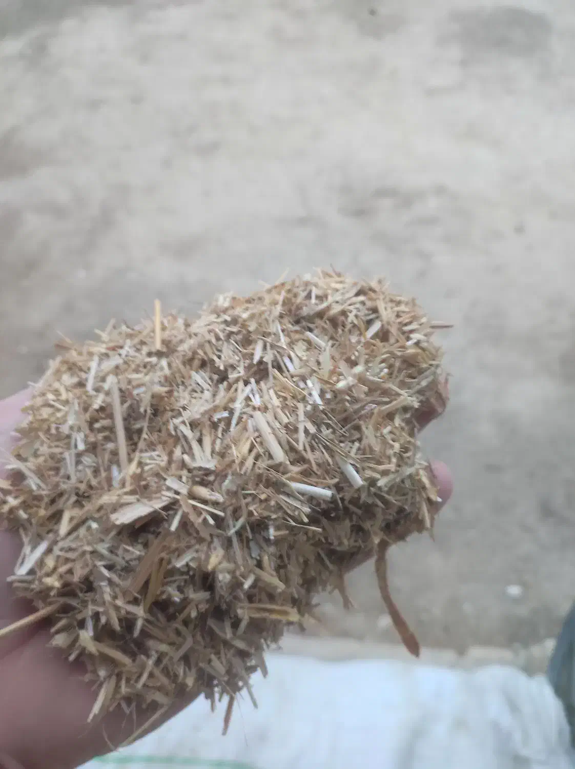 کاه گندم|حیوانات مزرعه|گنبد کاووس, |دیوار