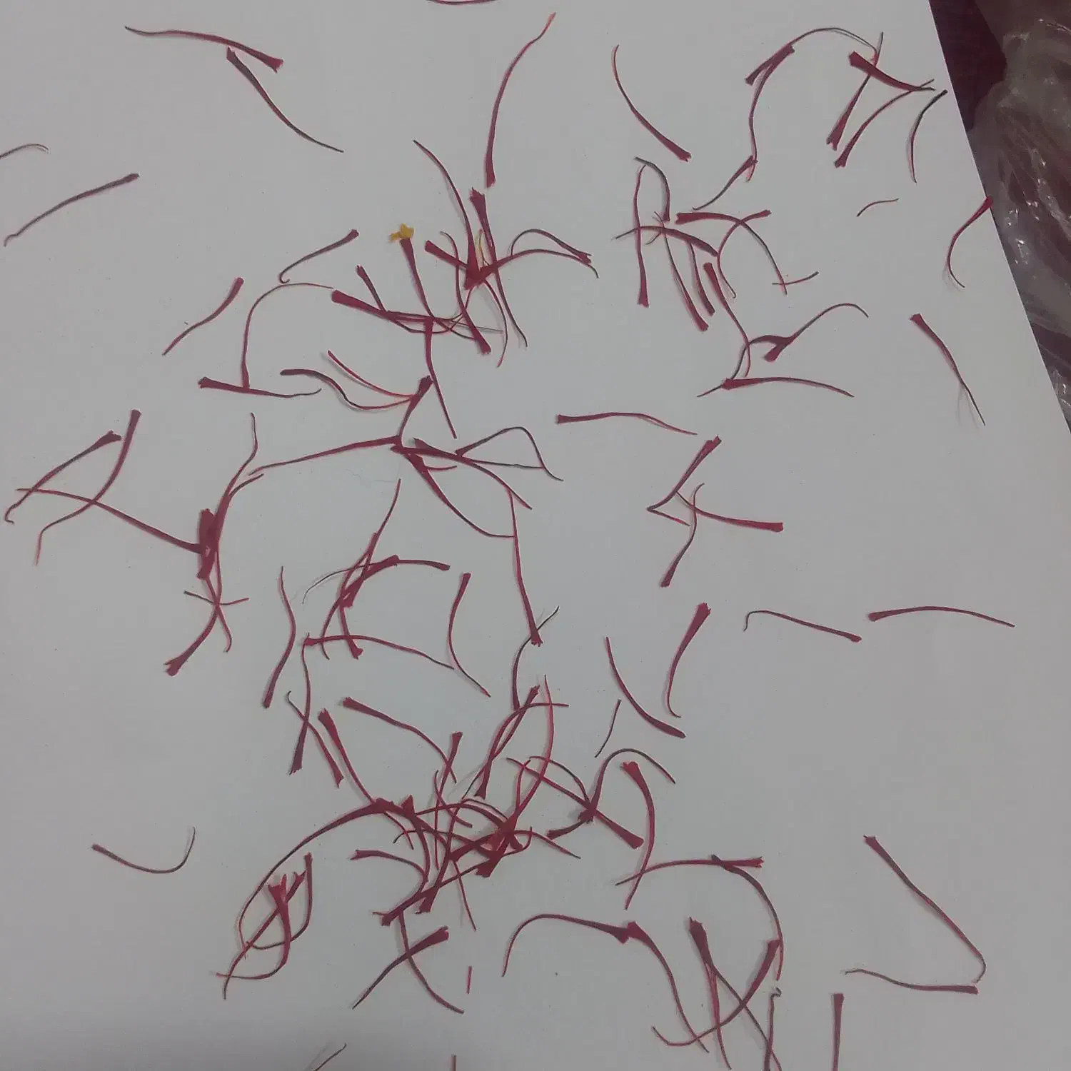 زعفران|خوردنی و آشامیدنی|تربت جام, میان جام|دیوار