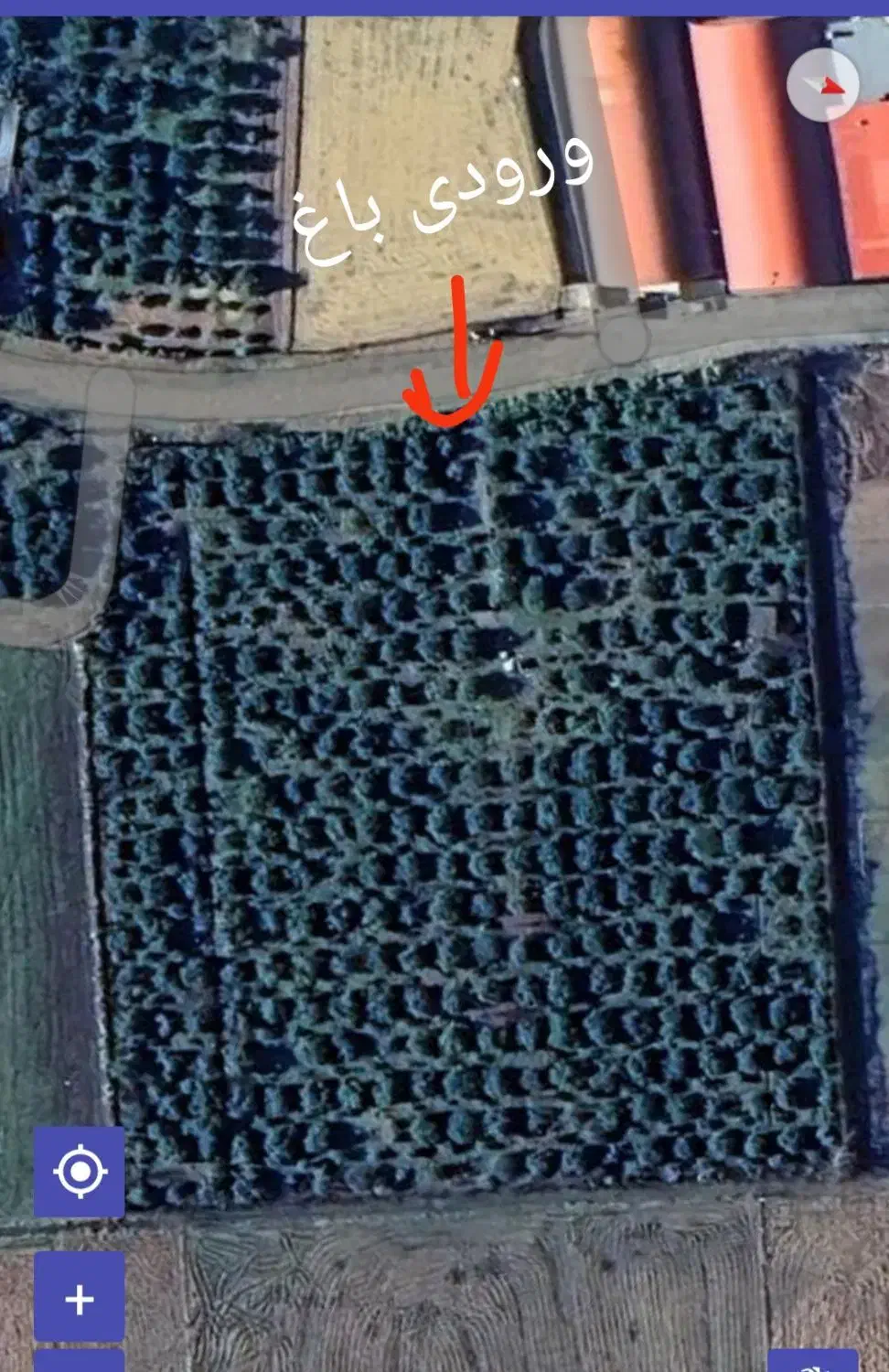 فروش زمین باغ|فروش زمین و ملک کلنگی|ارطه, |دیوار