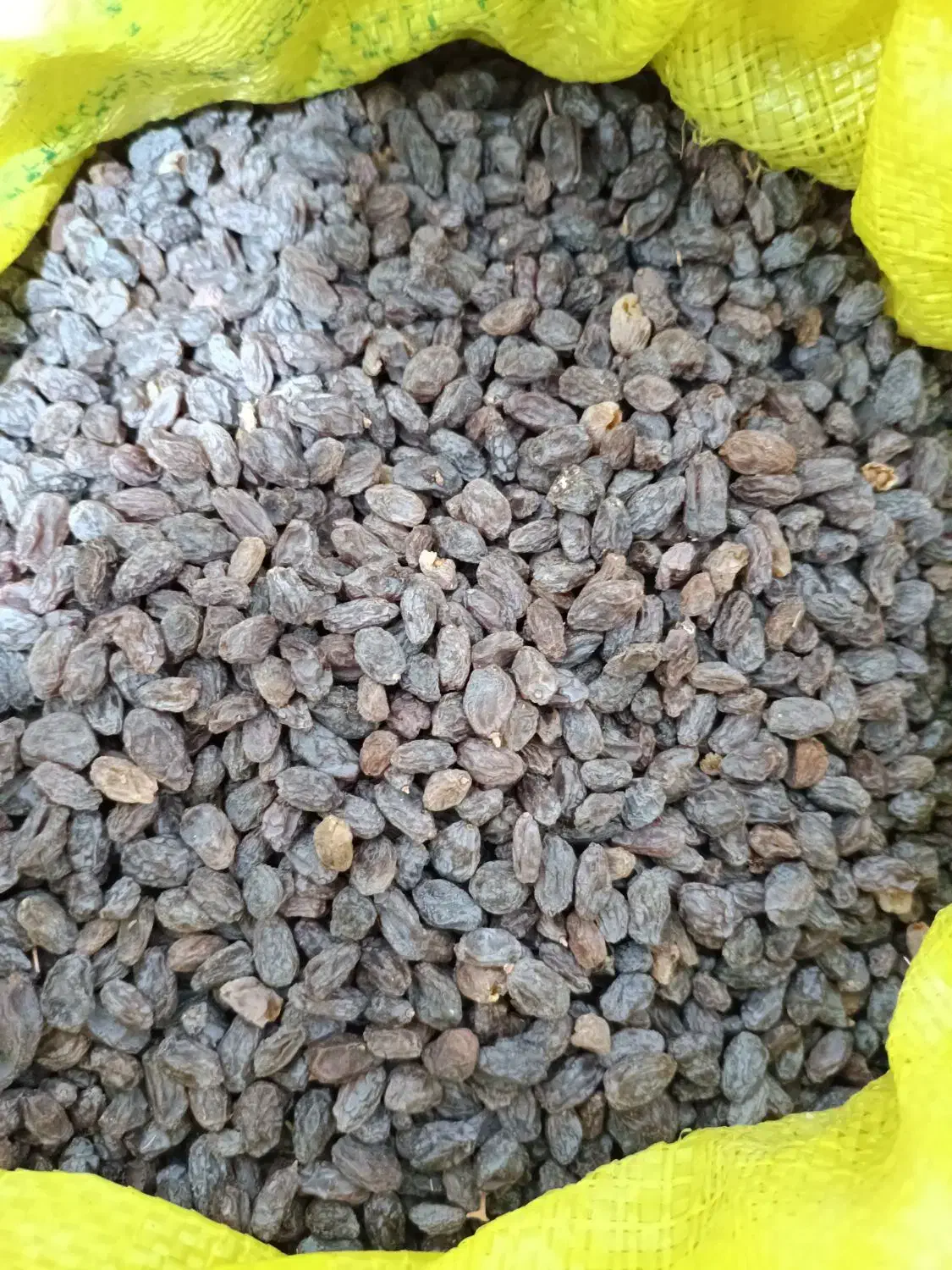 کشمش|خوردنی و آشامیدنی|شیراز, شهرک مهرگان|دیوار