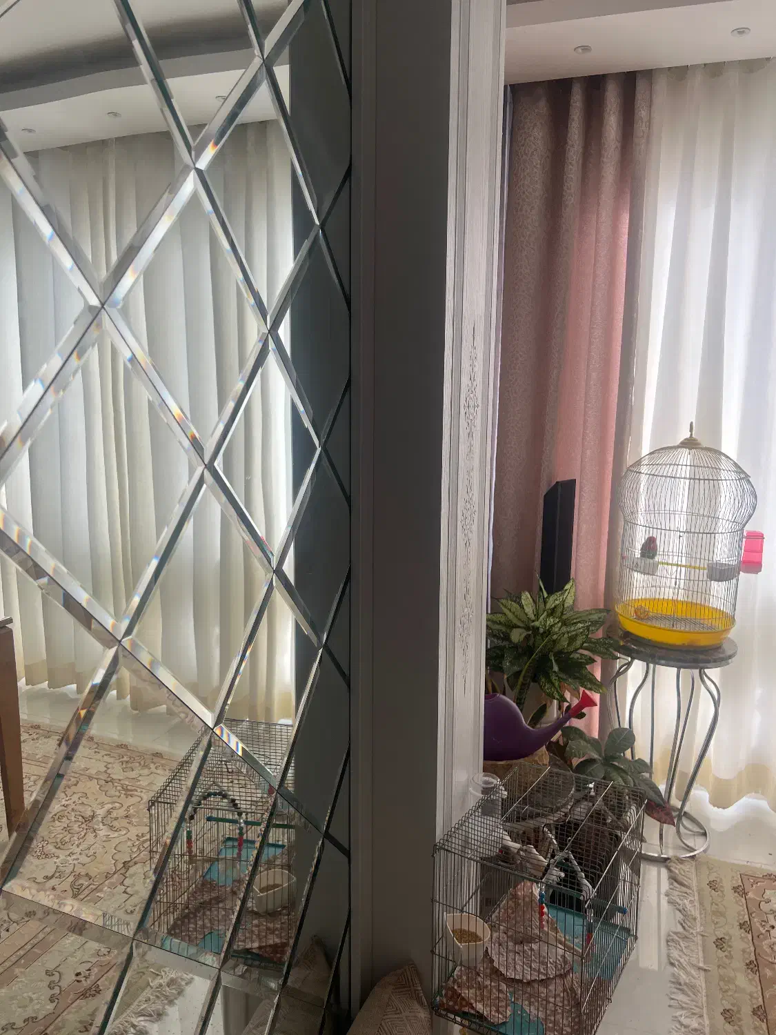 فروش منزل مسکونی فسا|فروش خانه و ویلا|فسا, |دیوار