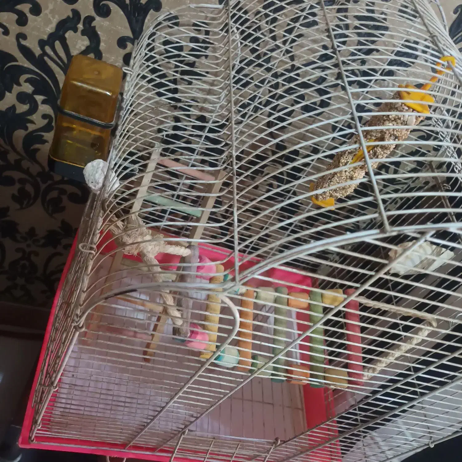 قفس پرنده|لوازم جانبی حیوانات|تهران, والفجر (افسریه)|دیوار