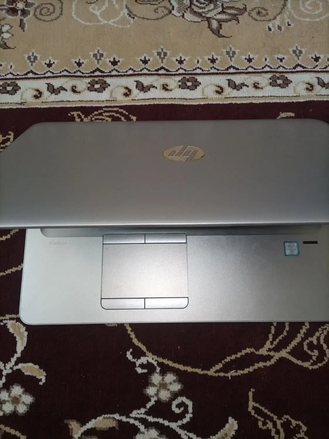 فروش لپ تاپ اچ پی|رایانه همراه|شیراز, محراب|دیوار