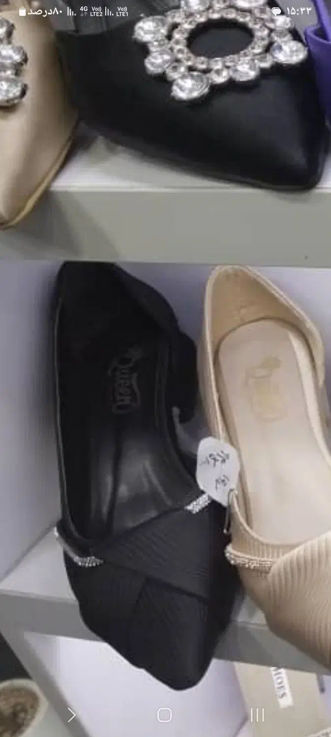 کفش مجلسی|کیف، کفش، کمربند|مرودشت, فاز دوم شهرک فرهنگیان|دیوار