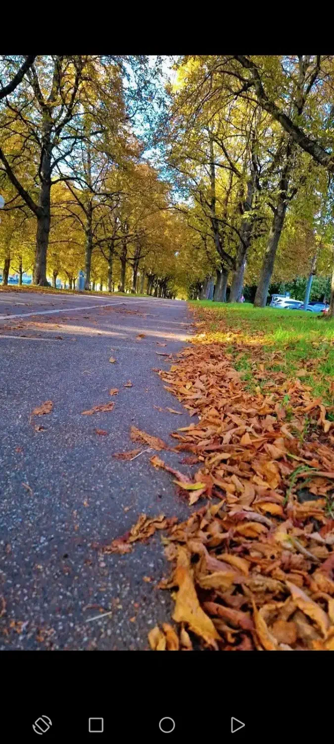 کسی هست فردا بخواد بره تهران|خدمات حمل و نقل|شوشتر, |دیوار