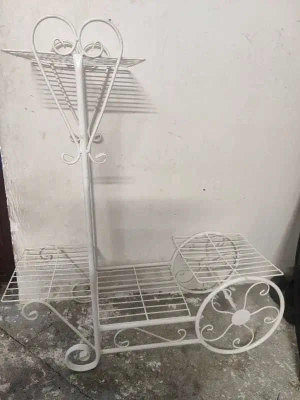 استند گل و سینما خانواده|گل و گیاه طبیعی|ورامین, ورامین|دیوار